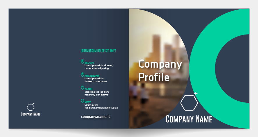 company profile 783292
